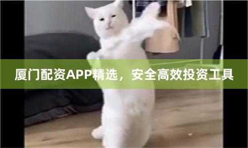 厦门配资APP精选，安全高效投资工具
