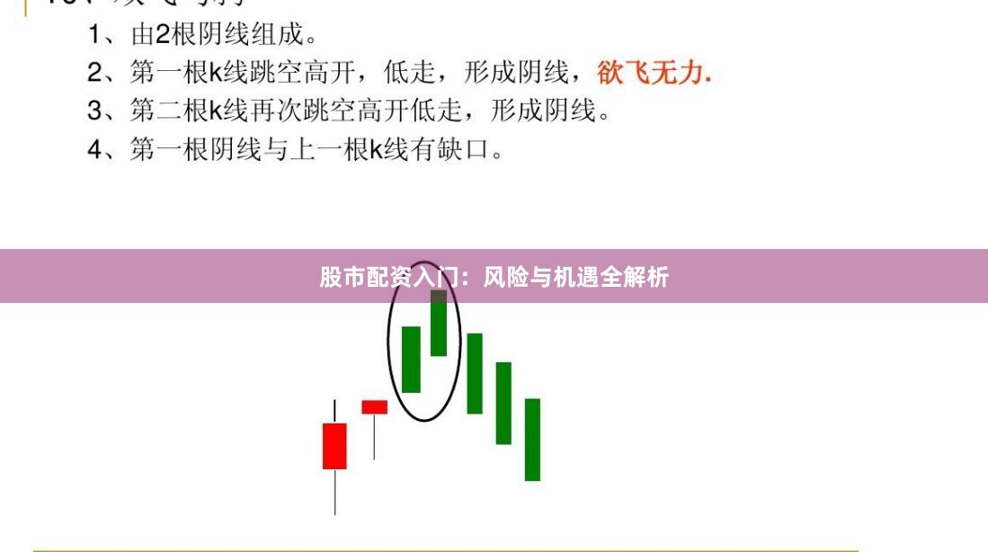 股市配资入门:风险与机遇全解析